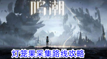 鸣潮灯笼果采集路线在哪