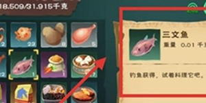 创造与魔法三文鱼食谱大全
