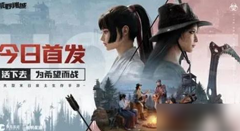 荒野迷城升级表