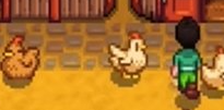 星露谷物语如何换鸡舍和卖鸡