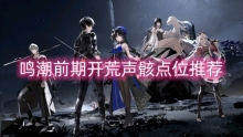 鸣潮前期开荒声骸点位推荐