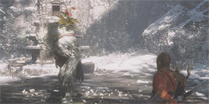 黑神话悟空老人参精怎么获得