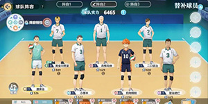 排球少年新的征程拦网队怎么搭配