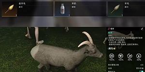 七日世界金羊毛怎么获得